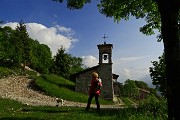 Da Cacciamali di Ardesio anello del Monte Secco, salito per creste, disceso da oltre Cima Vaccaro ( il 28 maggio 2015) - FOTOGALLERY